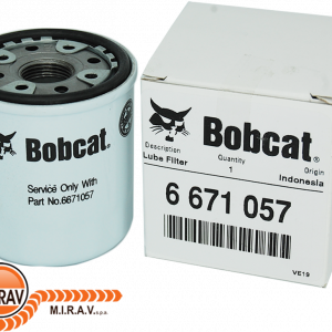 Filtro olio motore 6671057