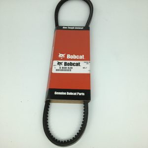 Cinghia alternatore 6808629
